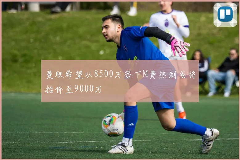 曼联希望以8500万签下M费热刺或将抬价至9000万